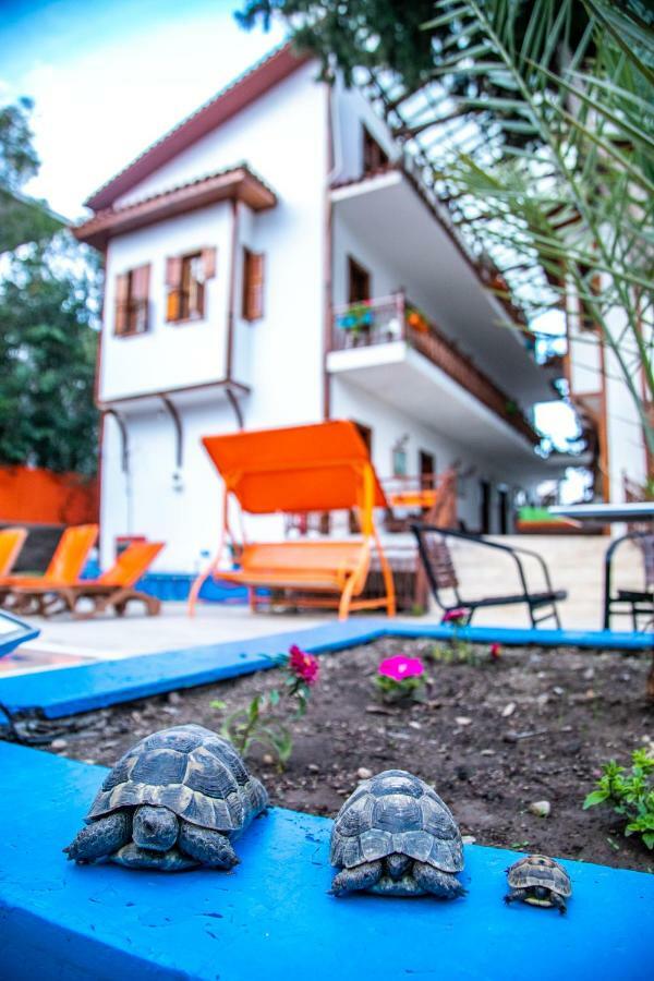 Kaliptus Hotel Kemer Exterior foto